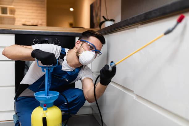 Best Flea Control Services  in Bemidji, MN