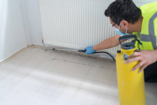Best Pest Control Near Me  in Bemidji, MN